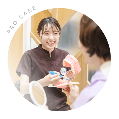 PRO CARE